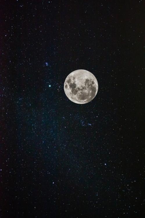 tumblr msup8jSHmi1qi6fcjo1 500