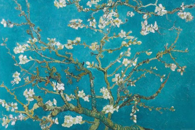 van gogh vincent almond blossom san remy 1890