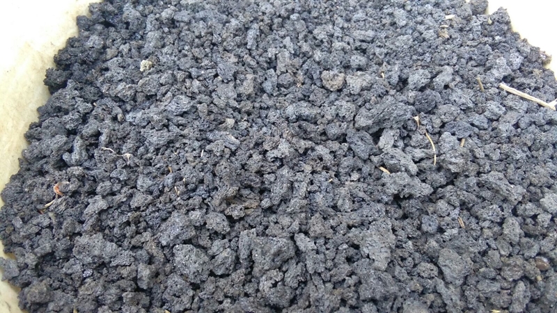 WhatsApp-Image-20160711(1) (Copy)