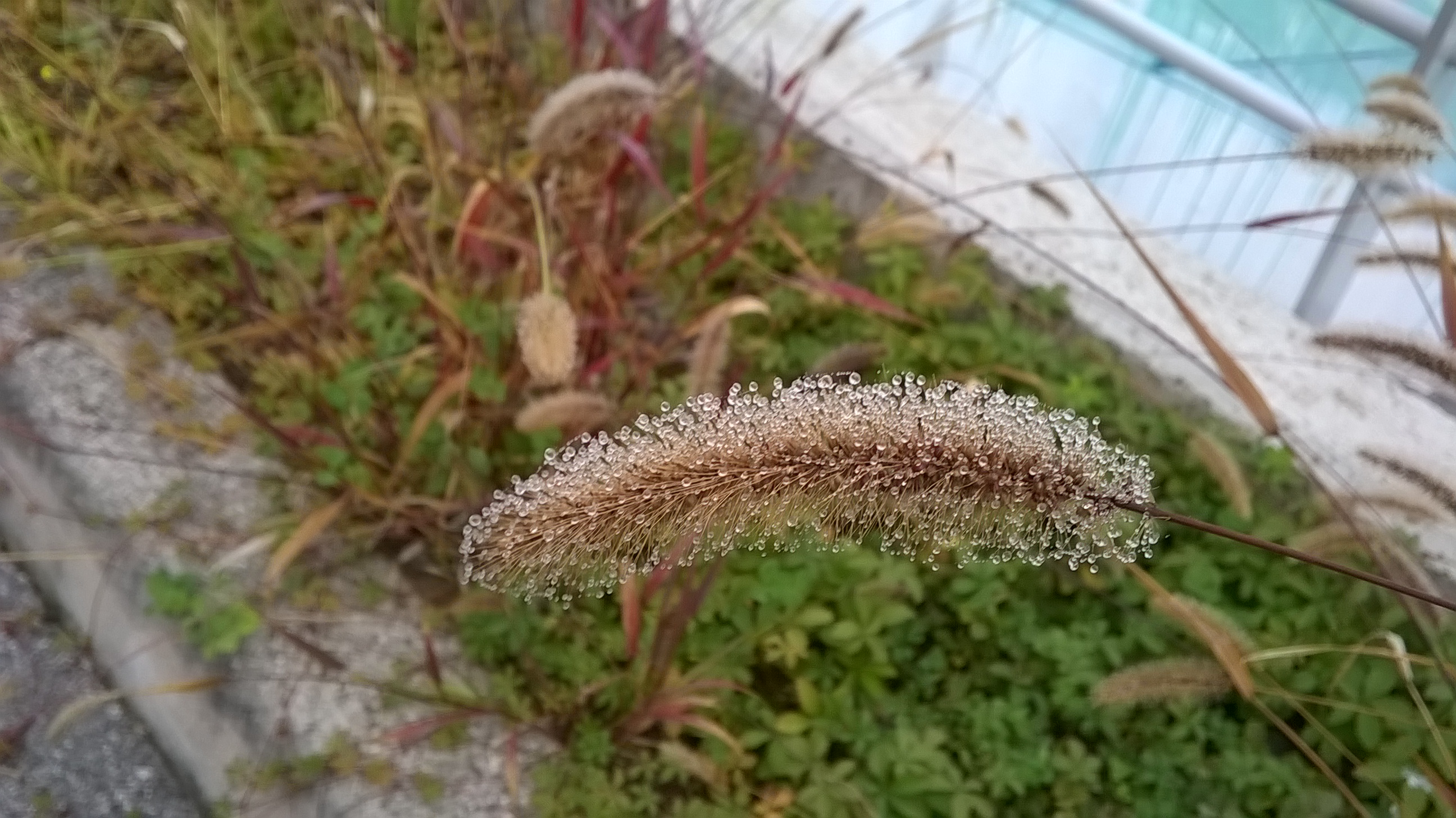 WP_20151111_002