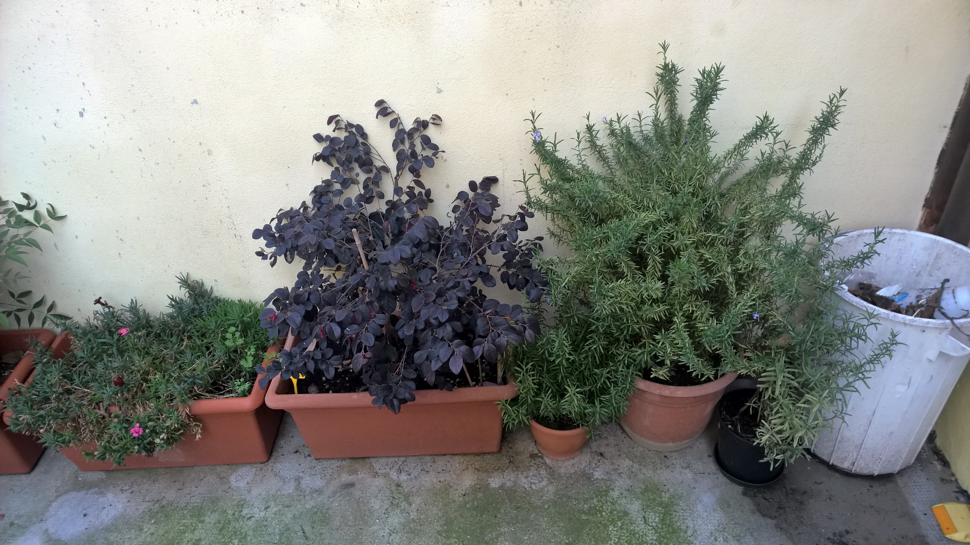 WP_20151201_08_21_17_Pro