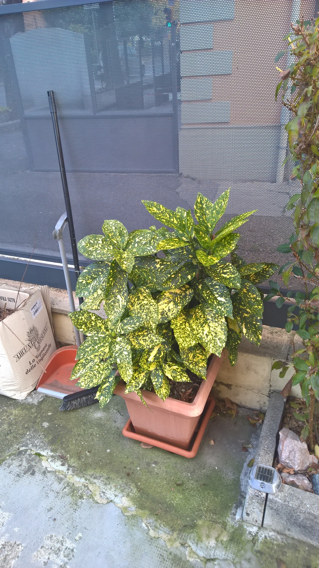 WP_20151201_08_21_50_Pro