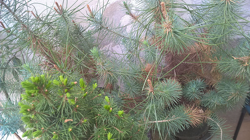 WP_20160423_11_36_28_Pro_LI