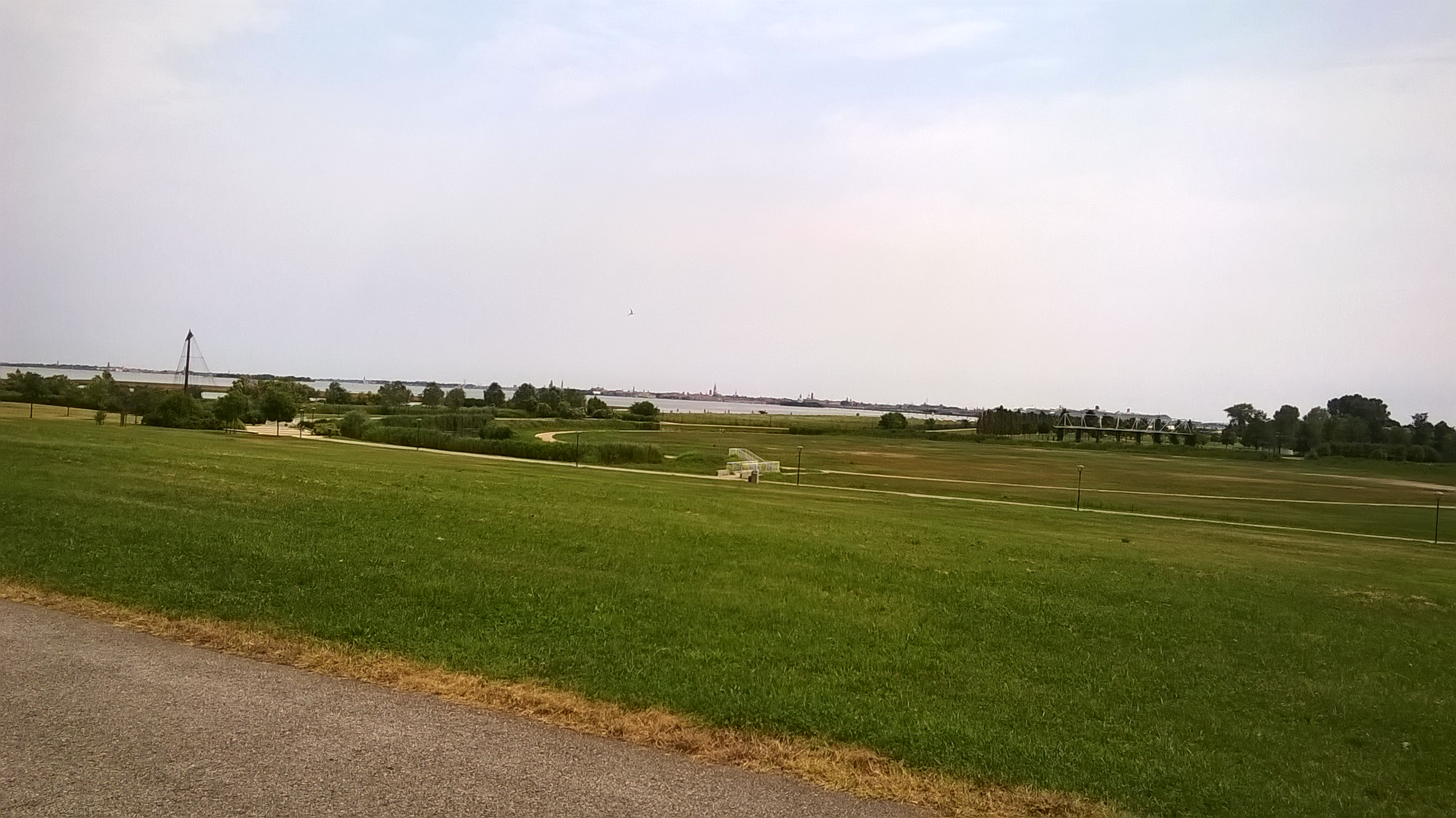 WP_20160708_005