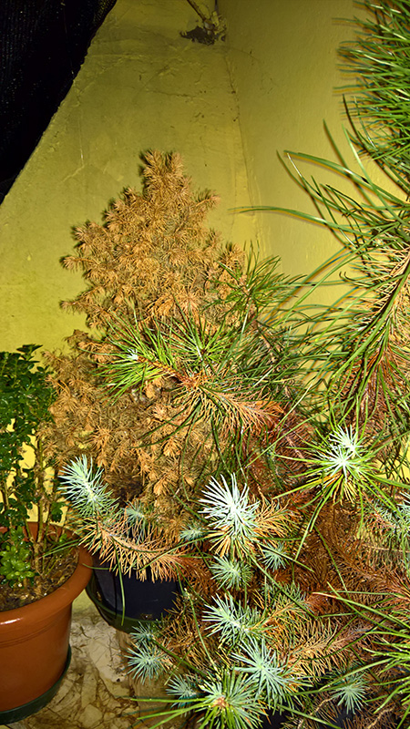 WP_20160901_20_58_15_Pro_LI