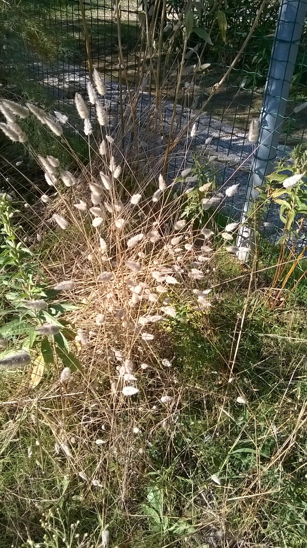 WP_20161012_001